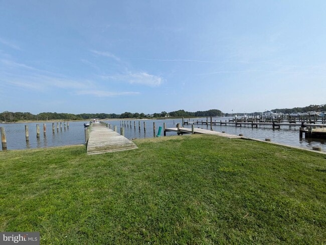 Building Photo - 965 Chester River Dr