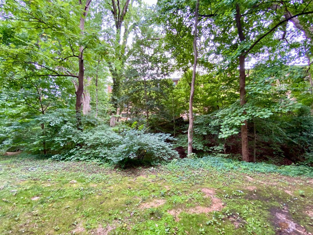 Building Photo - 1533 Colonial Dr