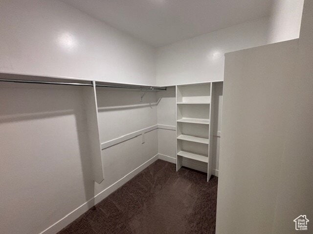 Building Photo - 1225 Wolf Hollow Ln