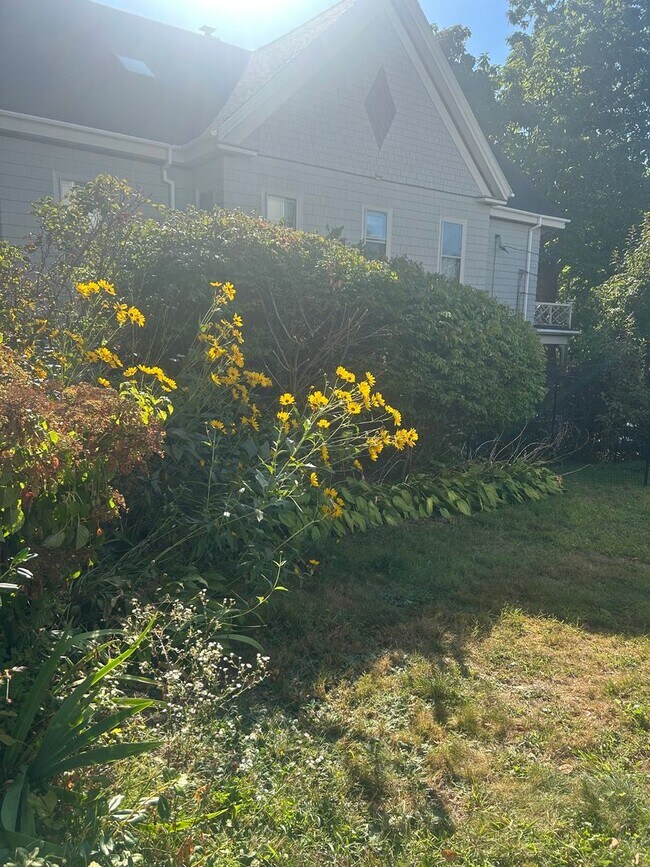 Building Photo - Beautiful 3BR/1.5BA Home Available Septemb...