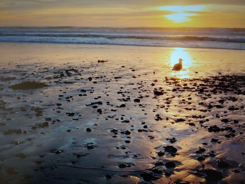 Building Photo - 775 Neptune Ave