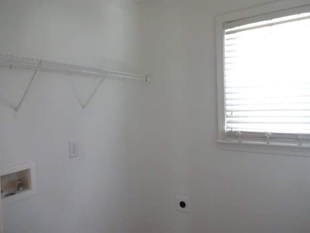 Building Photo - 1633 Virgil Pond Ln