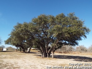 Building Photo - 414 Shannon Ridge Dr