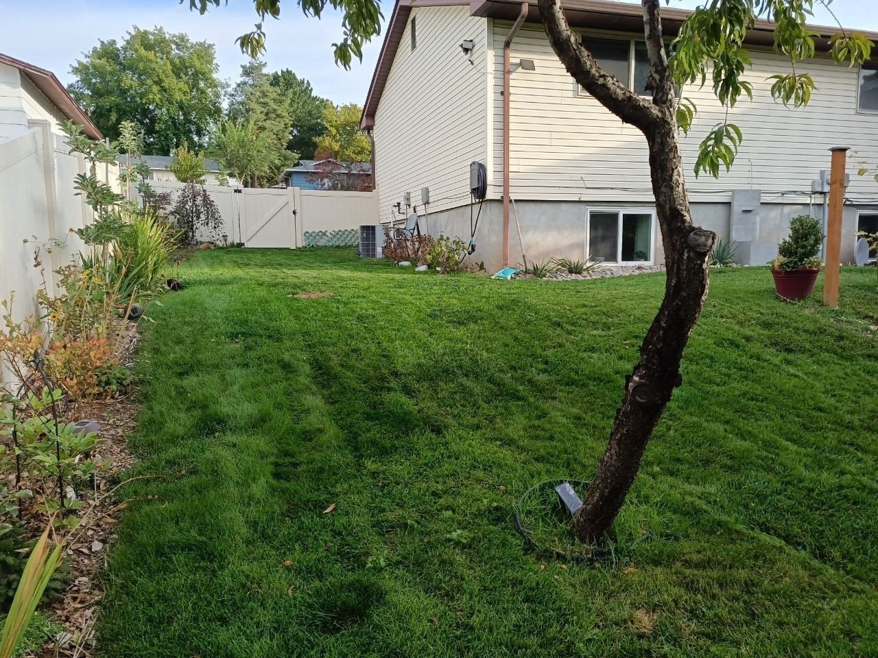 Building Photo - 1656 S Fairway Dr