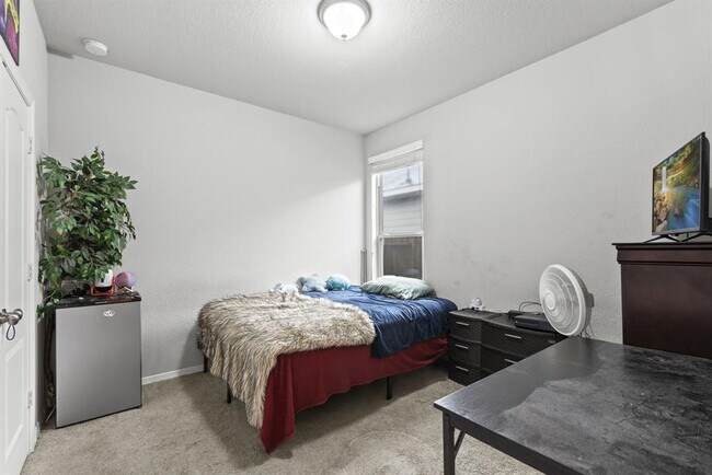 Building Photo - 24714 Colony Meadow Trl