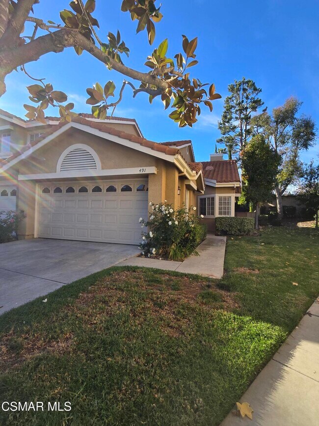 Primary Photo - 491 Novara Way