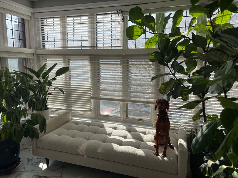 Sunroom - 642 W Bittersweet Pl