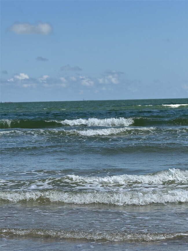 Building Photo - 3067 Shady Creek Ln