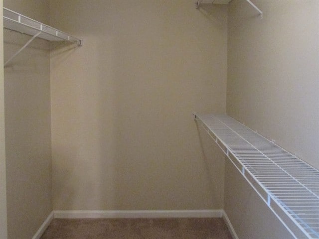 Building Photo - 1041 Vanguard Dr