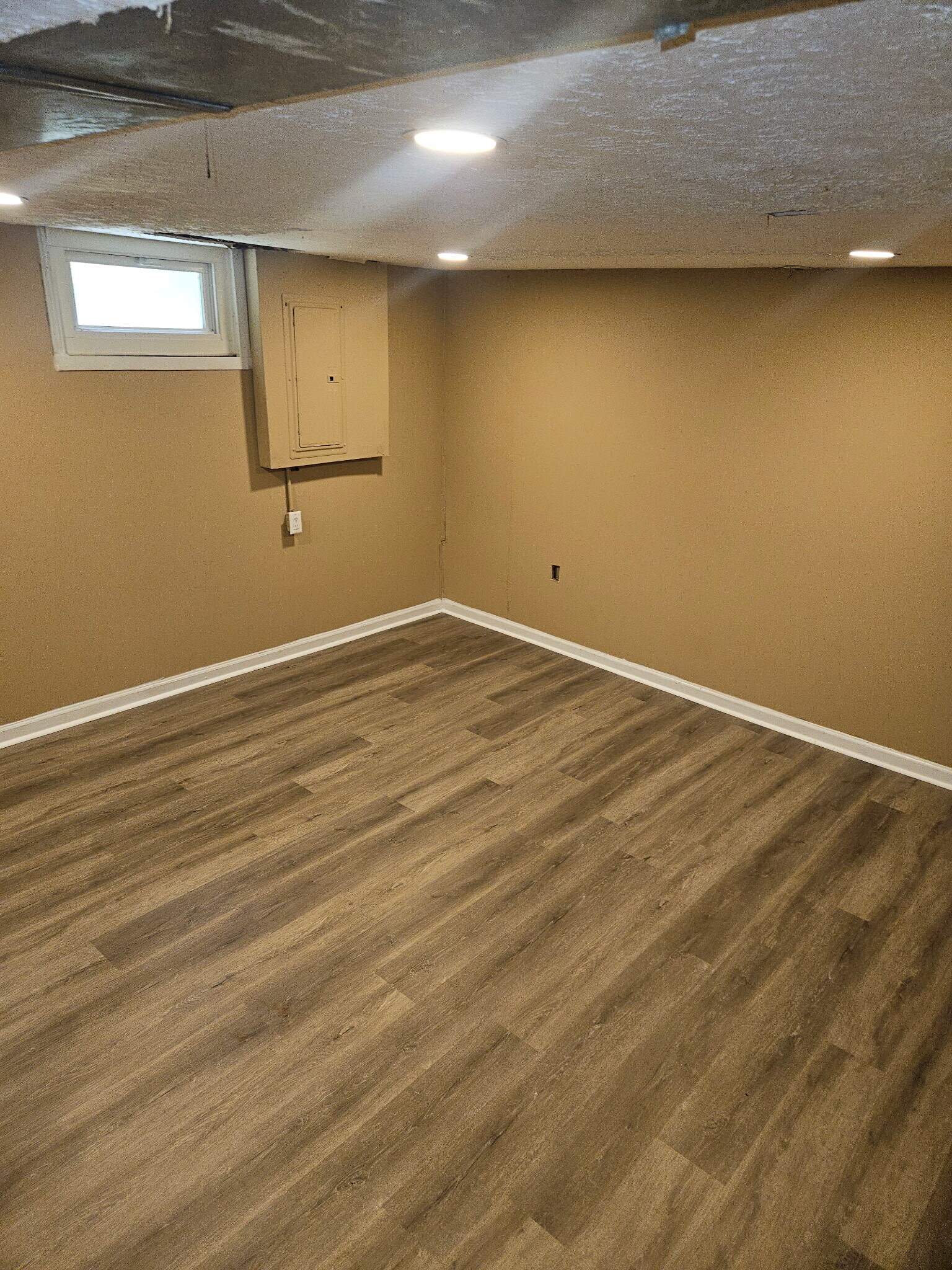 Basement - 1733 Gregg Ave