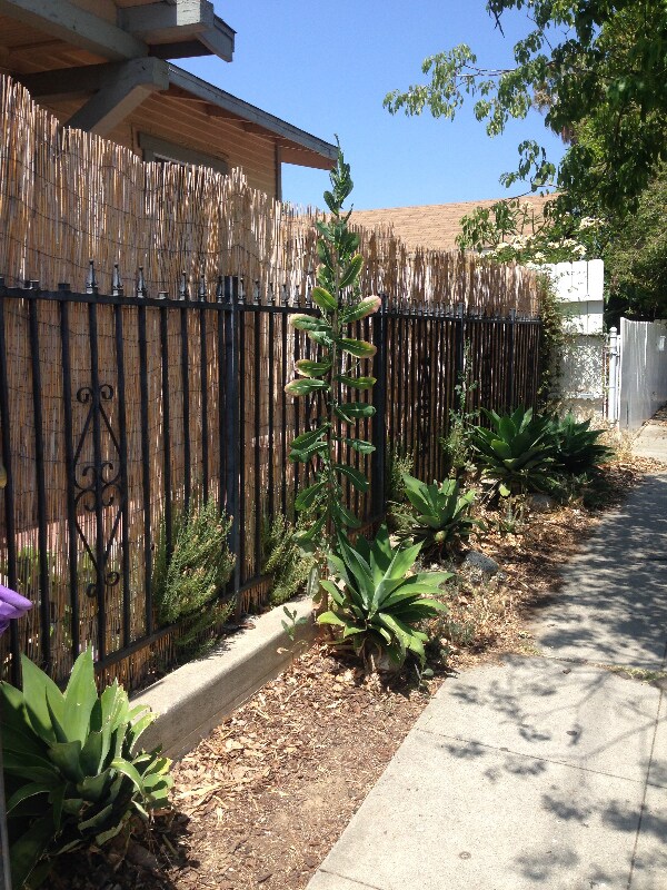 Building Photo - 1804 Bellevue Ave