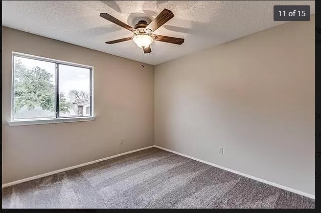 Building Photo - 2906 Canis Cir