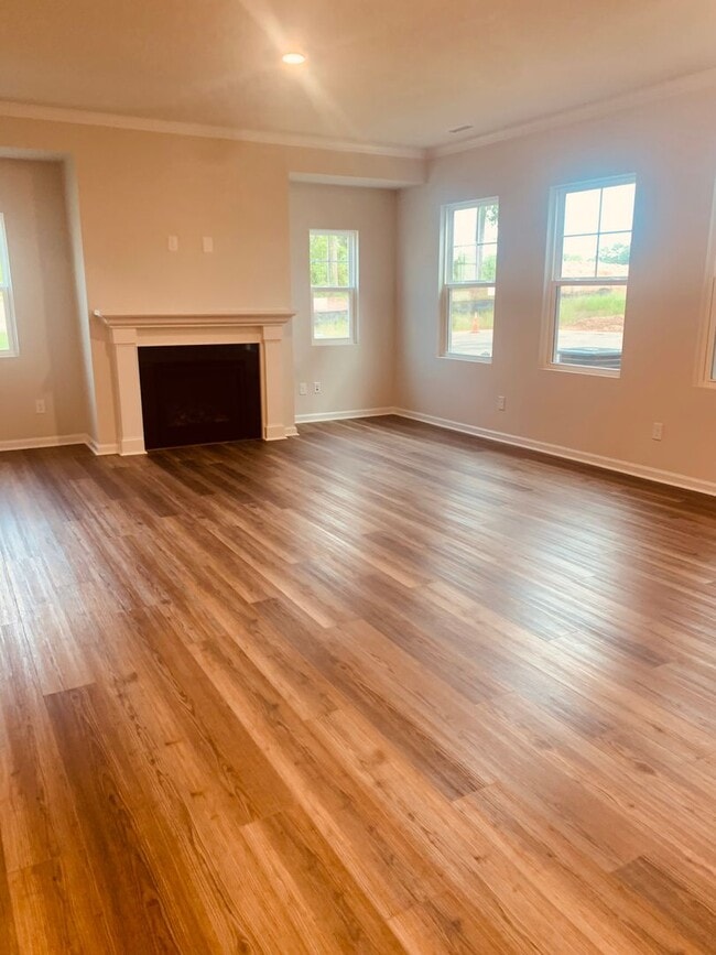 Building Photo - BRAND NEW TOWNHOME! 2 CAR GARAGE. SCREENED IN PORCH. MODERN KITCHEN. OPEN CONCEPT LIVING. BONUS ROOM