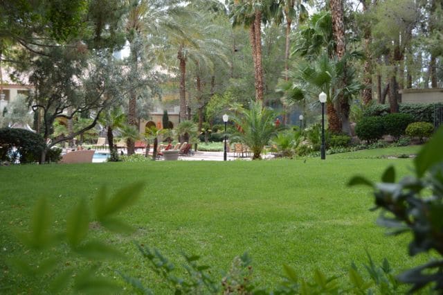 Building Photo - Meridian Top-Floor 1 Bed 1 Bath with Great City/Strip Views - Resort Style Living.