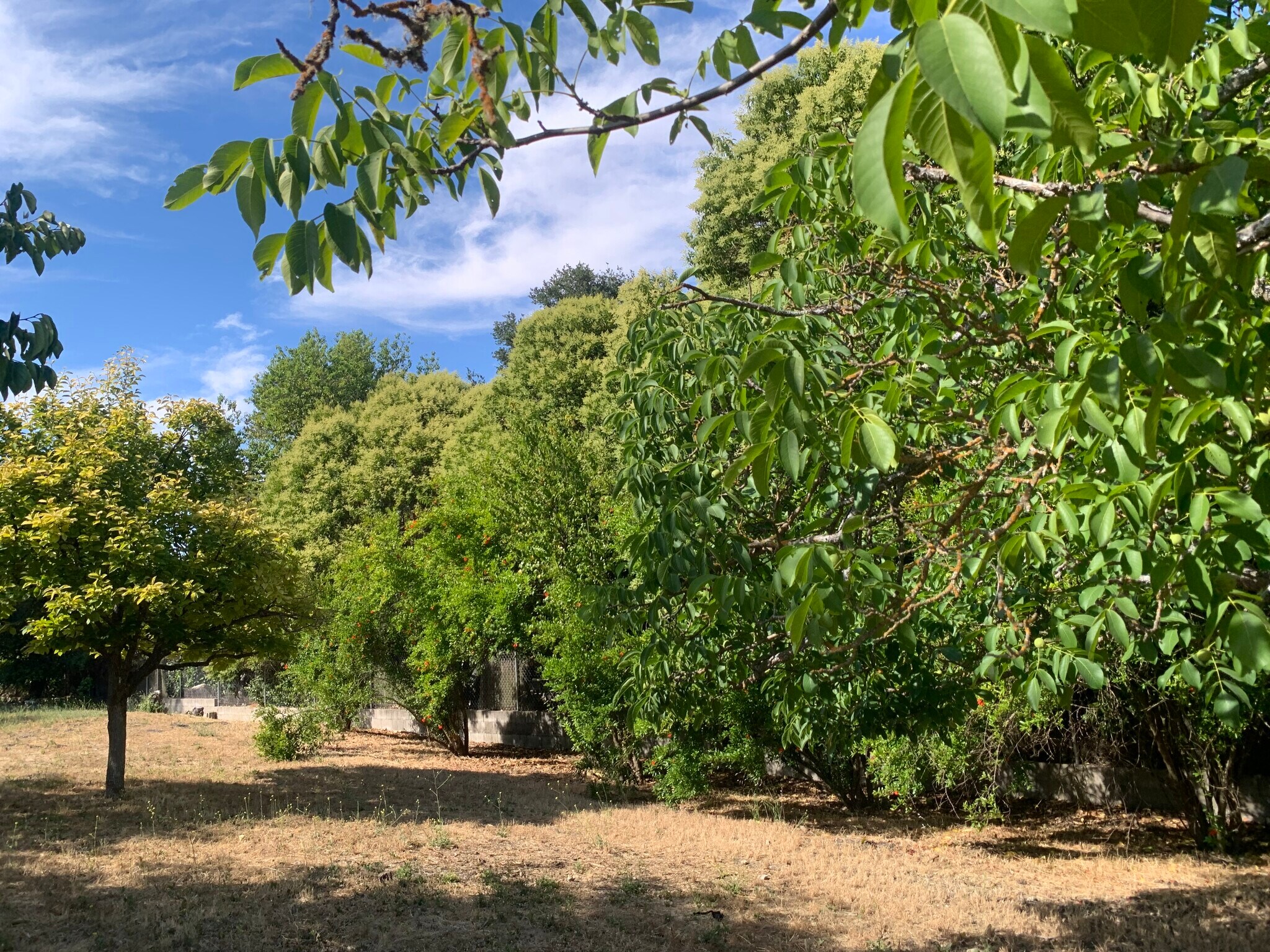 Building Photo - 9080 Santa Lucia Rd