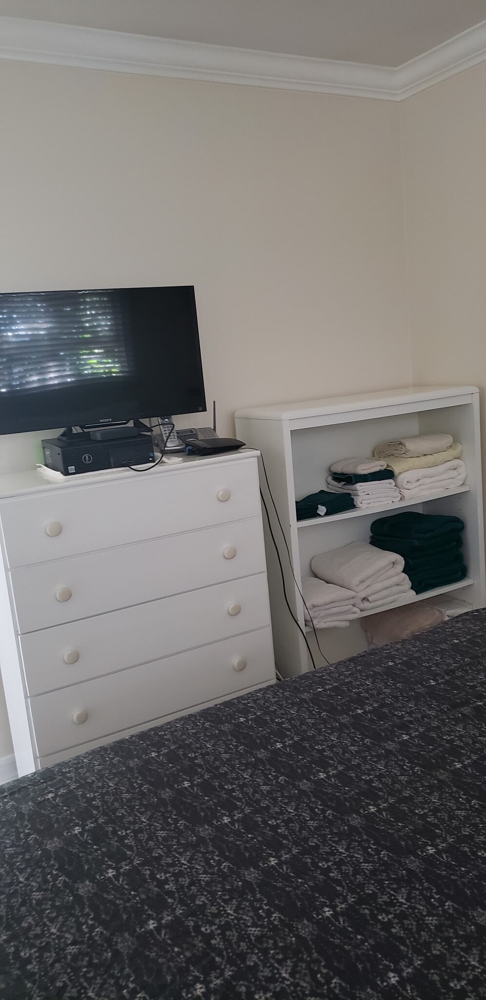 Building Photo - 1519 Orange Ave