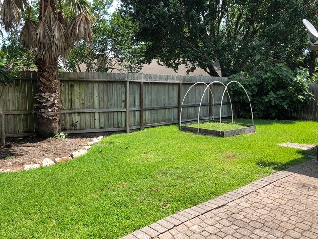Backyard - 22014 Shady Valley Dr