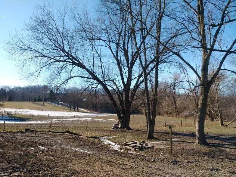 Yard and neighbors horse farm - 150 Franklin Rd