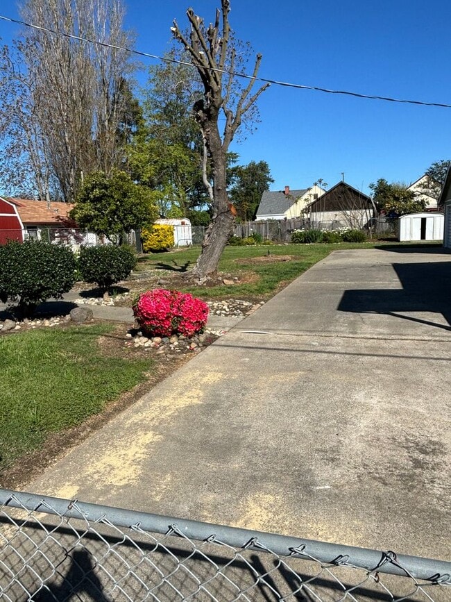 Building Photo - 1 + B/R Charming house with Beautiful big ...