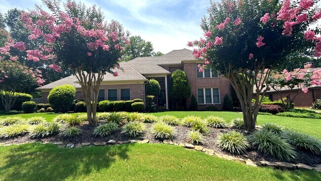 Primary Photo - 983 Rolling Oaks Ln