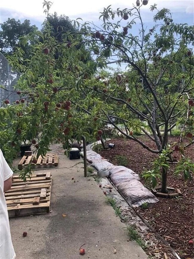 Building Photo - 515 Wabash Ave