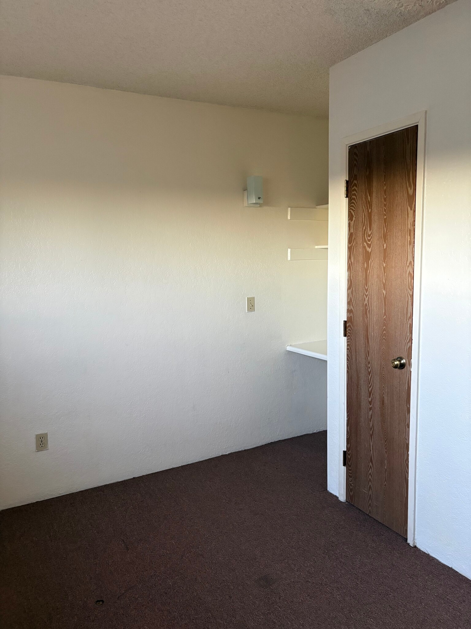 Building Photo - 433 Avenida Garza
