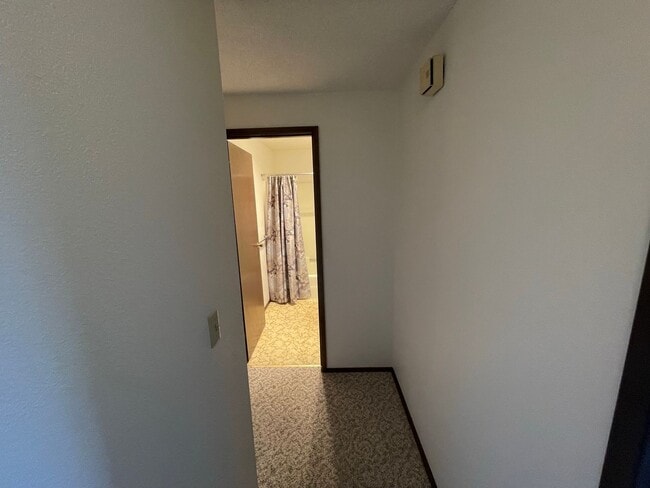 Building Photo - 3801 37th Dr