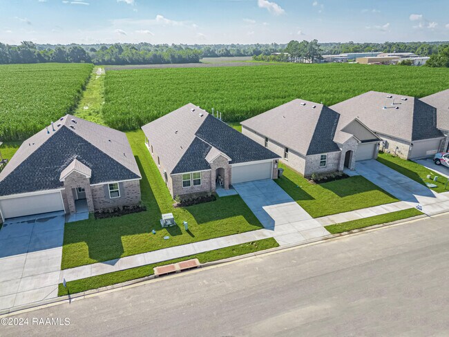 Building Photo - 407 Broussard Hl Dr