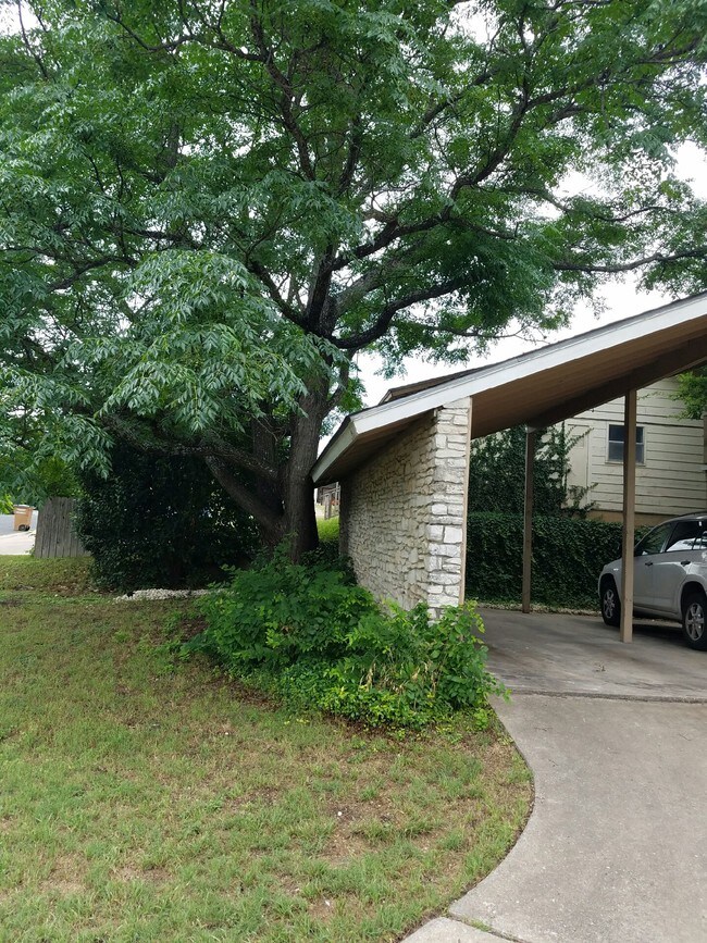 Building Photo - 3406 Dolphin Dr