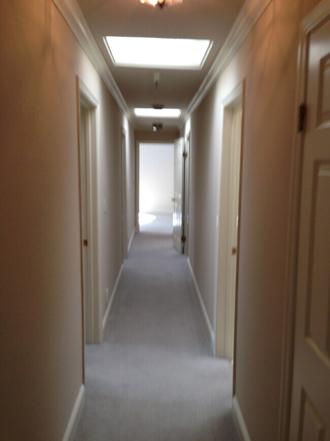 Hallway - 500 Poplar Ave