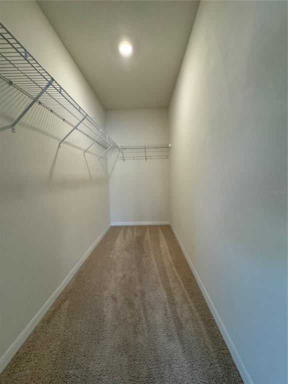 Building Photo - 1541 Fernmeadow St