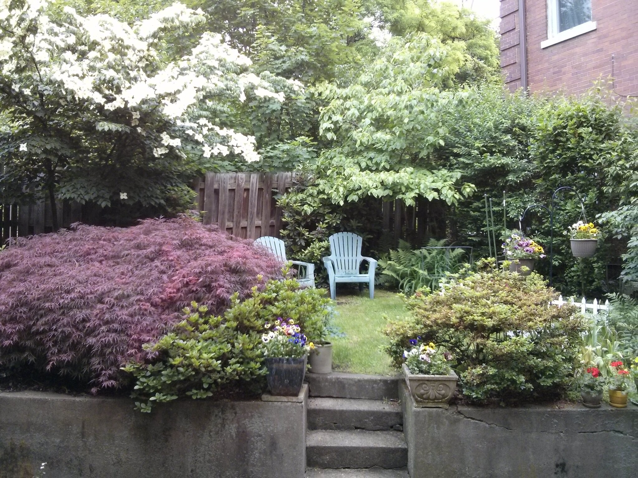 Backyard - 504 Todd St