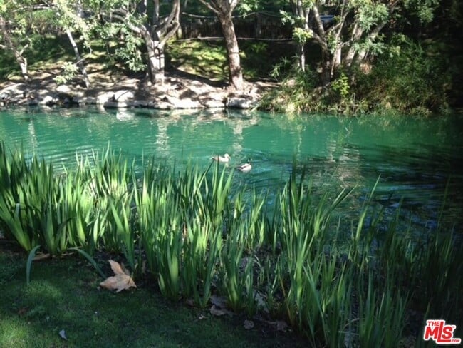 Building Photo - 1115 Raintree Cir