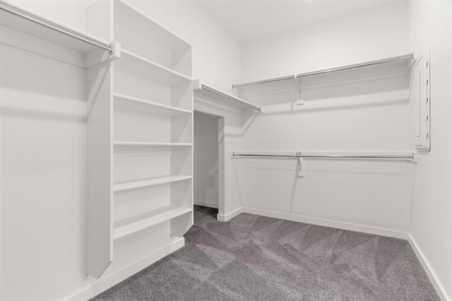 Building Photo - 1409 Corkwood Dr