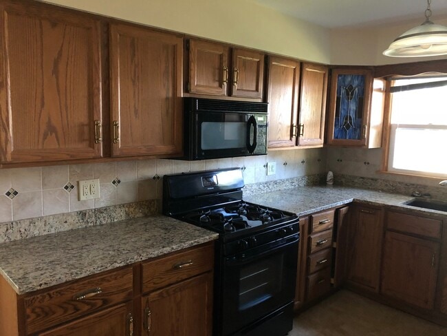 Building Photo - Looking for a house with a large yard?