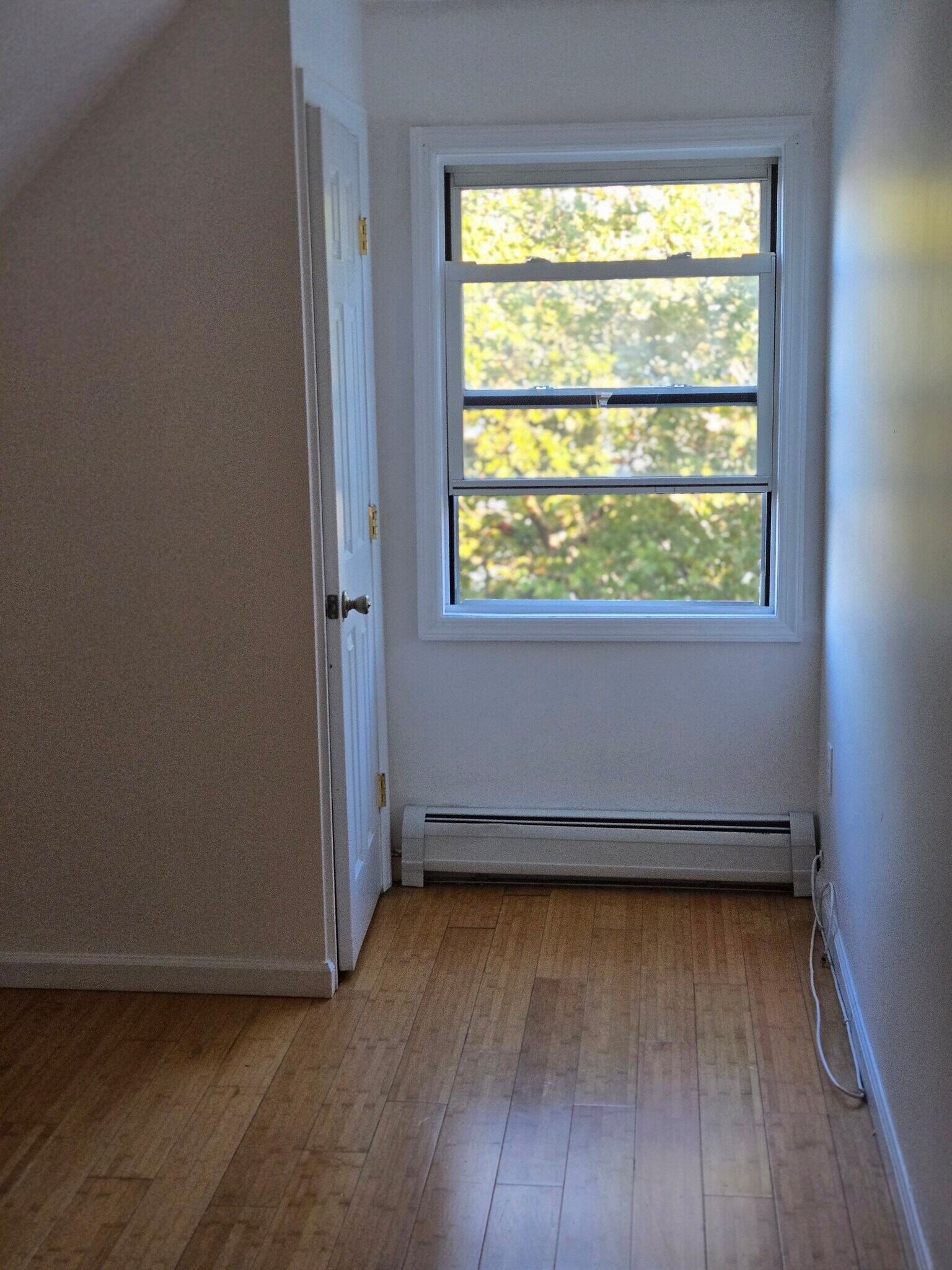 Building Photo - 316 Summer Ave