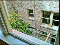 Building Photo - One bedroom available at the Carnegie Buil...