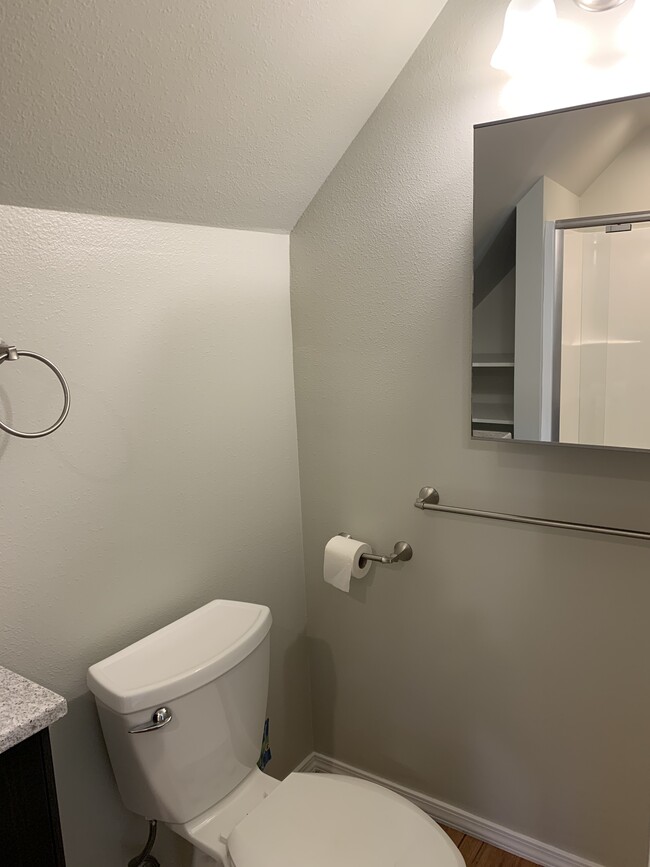 medicine chest mirror (at standing height) - 1924 SE 139th Ave