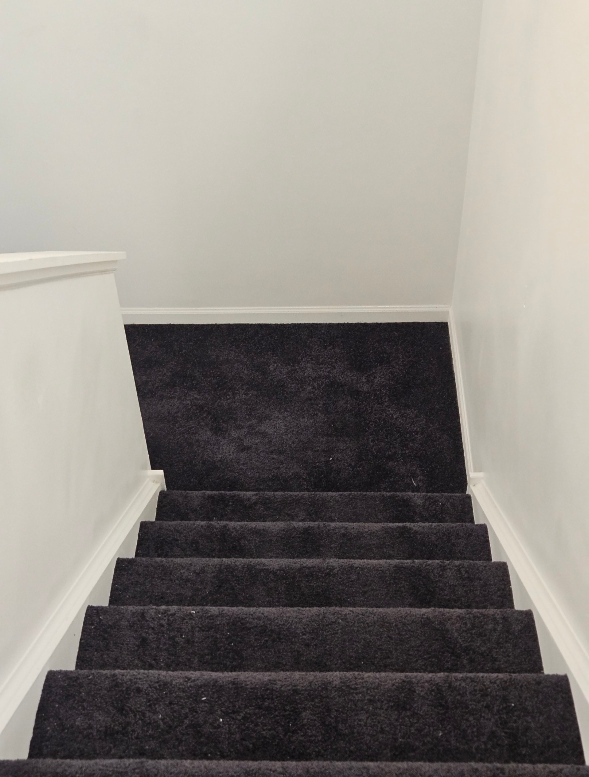 Building Photo - 838 Avalon Way