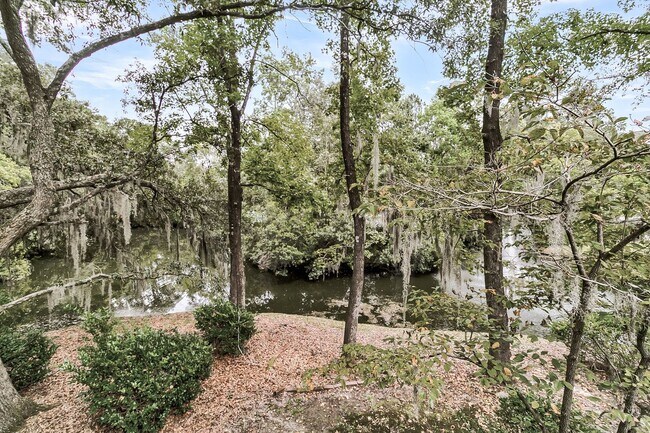 Building Photo - Pond View 3 Bedroom, 2 Bath Home in Ashley...