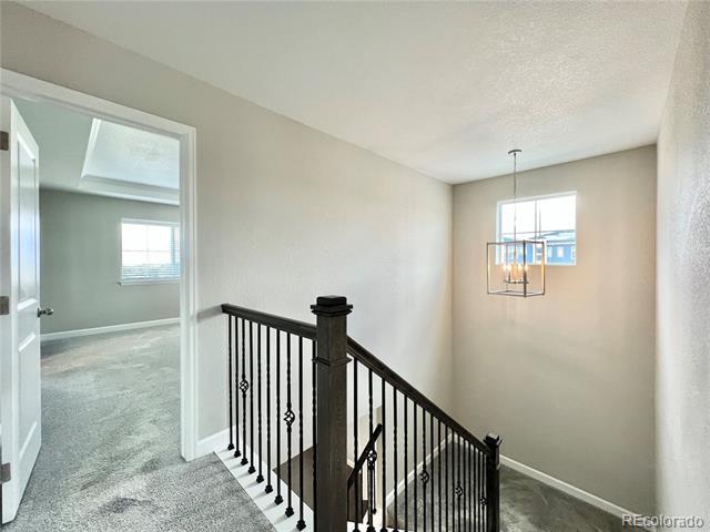 Building Photo - 9187 Swan River St