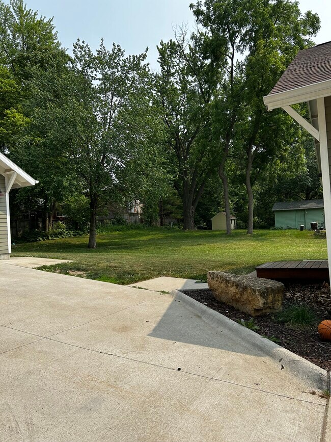 Spacious, shaded backyard - 628 S Lucas St