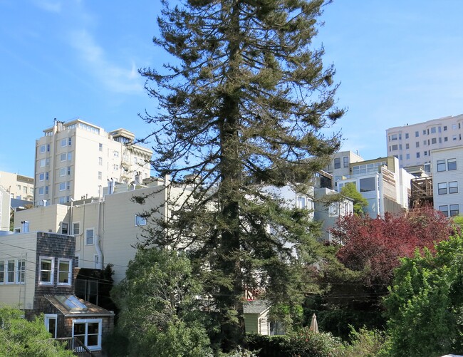 West Russian Hill View - 2538 Polk St