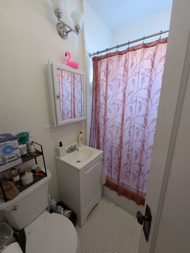 Building Photo - Fully Renovated Studio in Albany Park! Gre...