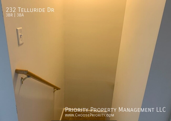 Building Photo - 232 Telluride Drive