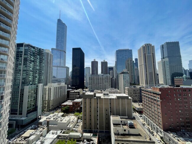 Building Photo - 545 N Dearborn St