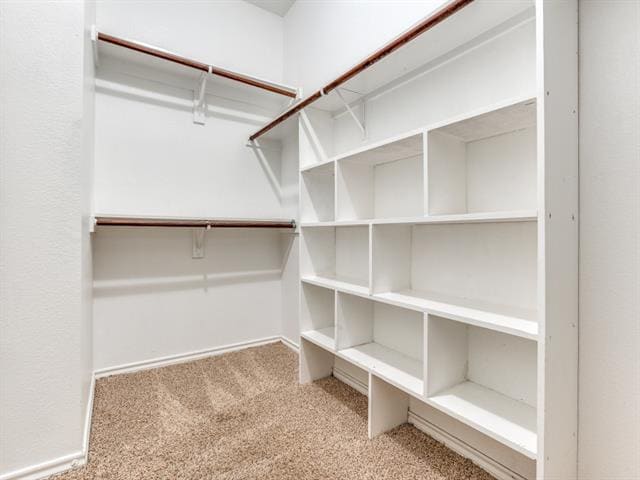 Building Photo - 6701 Driftwood Ln
