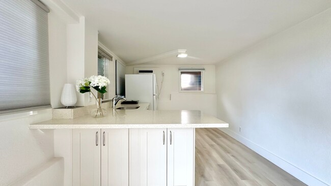 Building Photo - Available NOW - Newly Renovated Studio wit...