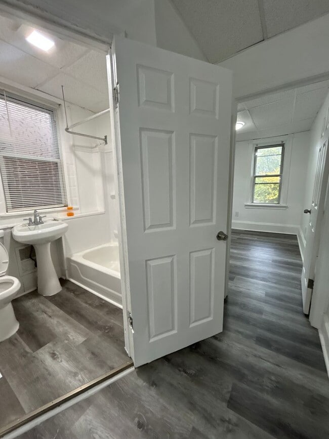 Building Photo - 1484 Louis St