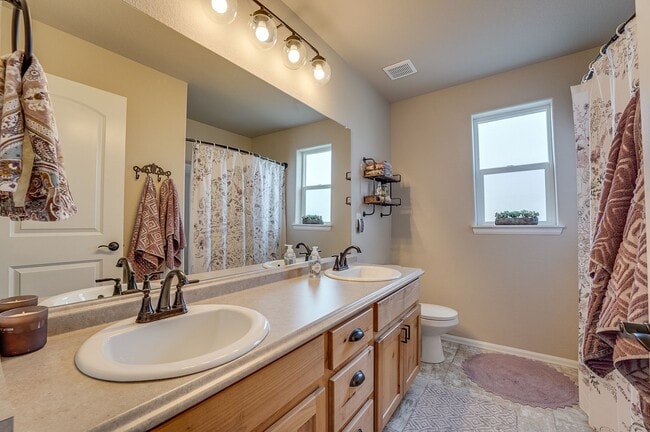 Building Photo - Stunning 4 Bed, 3 1/2 Bath House in Severance!